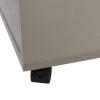 Wooden Filing Cabinet with 5 Drawers and Casters view 4