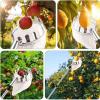 Durable Fruit Picker with Pole and Fabric Basket view 4