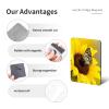 Yellow Sunflowers with Red Butterfly Soft Magnetic Stickers view 3
