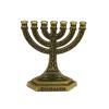 Wegiwuca 12 Branch Israel Menorah view 1