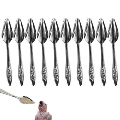 Vogel Feeding Spoons - Stainless Steel Bird Spoons | Long-Pointed Design for Conures | Lightweight Practical Feeding Tool | Multifunctional Spoon Toy for Birds | 10 Pack