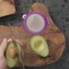 Generic Avocado Storage Container view 3