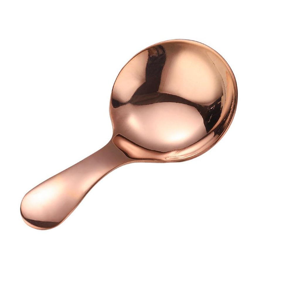 Zymoplas Stainless Steel Spoon