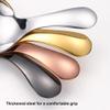 Zymoplas Stainless Steel Spoon view 2