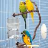 Transparent Automatic Bird Water Feeder view 2