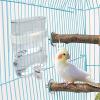 Transparent Automatic Bird Water Feeder view 3