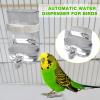 Transparent Automatic Bird Water Feeder view 4