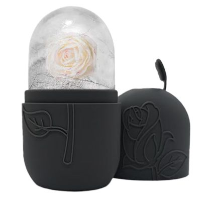 Face Ice Roller