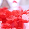 Artificial Rose Petals for Romantic Decoration view 4