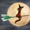 Halloween Witch Broom view 3