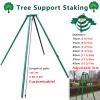 Robust Tree Support Stakes, 2 m High, for Young and Mature Trees, 25 cm Diameter view 4