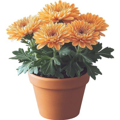 Ymxygz Flower Pot Window Stickers