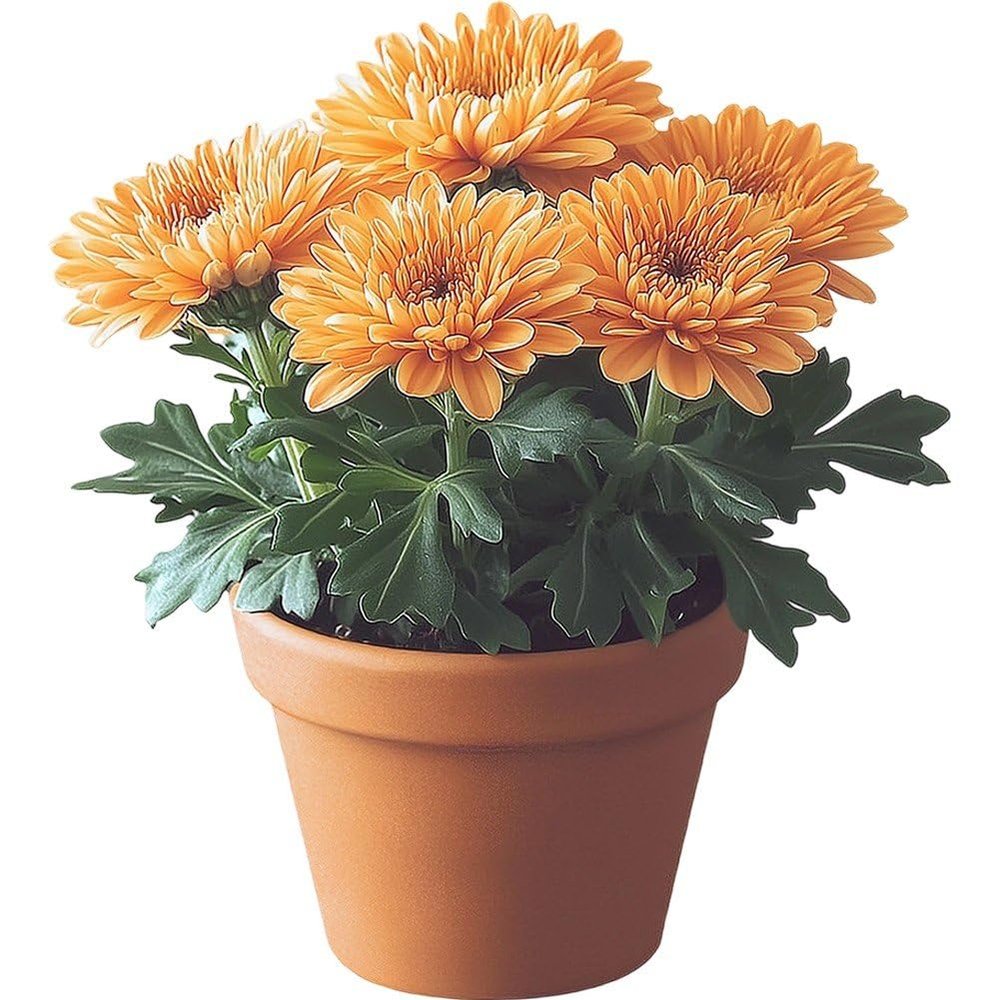 Ymxygz Flower Pot Window Stickers
