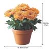 Ymxygz Flower Pot Window Stickers view 4