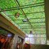 Generic Camouflage Net, 7 x 8.5 m view 4
