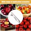 Cherry Pitter Tool, Stainless Steel view 4
