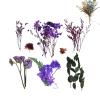 Natural Dried Flower Bouquet view 1
