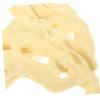 Sacrum Model, 1 Piece, PVC, for Anatomy Instruction view 3
