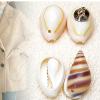 10pcs Elegant Shell Buttons Sustainable view 3