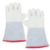 HYTROVE 1 Pair Cold-Resistant Protective Gloves for Men, Insulated Waterproof Freezer Mittens view 1
