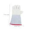 HYTROVE 1 Pair Cold-Resistant Protective Gloves for Men, Insulated Waterproof Freezer Mittens view 2