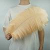 GUOZHAN 10-Piece Ostrich Feather Set, White and Black Decorations for Tables and Vases view 3