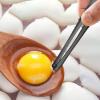 Egg Chalaza Remover view 4