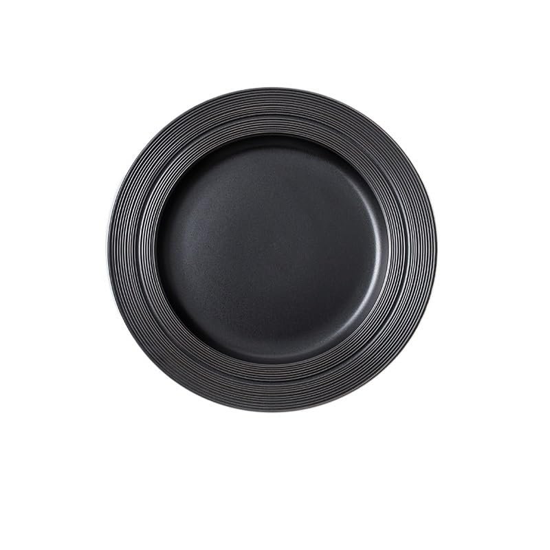 EINES Round Ceramic Dinner Plate, Pasta and Steak Plate, 8.35 in