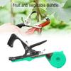 Garden Plant Tying Tool with 6 Rolls of Tape, 12PCS Blue Tape Nails view 4