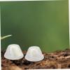 100-Pack Clear Plastic Plant Humidity Domes view 3