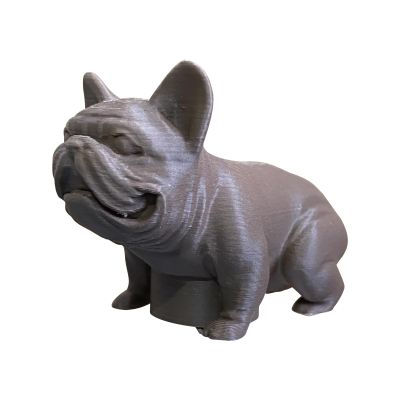 Syengery Dog Poop Toothpaste Dispenser
