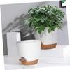 HEMOTON 3-Piece Self-Watering Flower Pot Set with Cotton Rope view 3