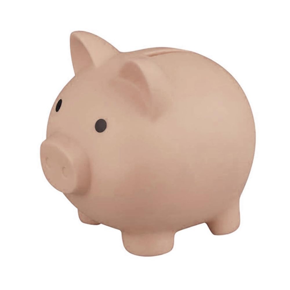 Piggy Bank for Kids (White Pink)