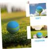 SKISUNO 10-Piece Colorful EVA Foam Golf Practice Balls, Shape-Stable and Bite-Resistant, for Indoor Training and Play with Cats view 3