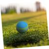 SKISUNO 10-Piece Colorful EVA Foam Golf Practice Balls, Shape-Stable and Bite-Resistant, for Indoor Training and Play with Cats view 4