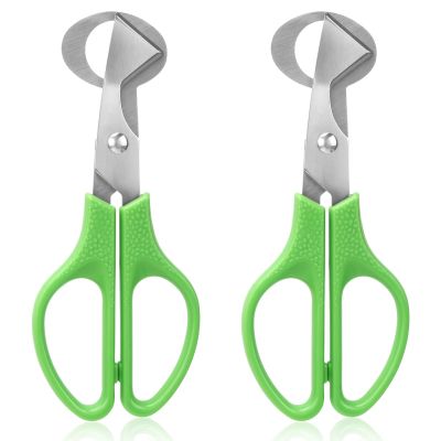 LYCXAMES Quail Egg Scissors, 2 Pieces