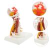 ABOOFAN Anatomical Cervical Spine Teaching Model, White PVC view 4