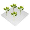 Generic Growing Sponges for Hydroponic Seed Starting view 1