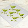 Generic Growing Sponges for Hydroponic Seed Starting view 2
