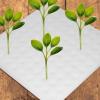 Generic Growing Sponges for Hydroponic Seed Starting view 3