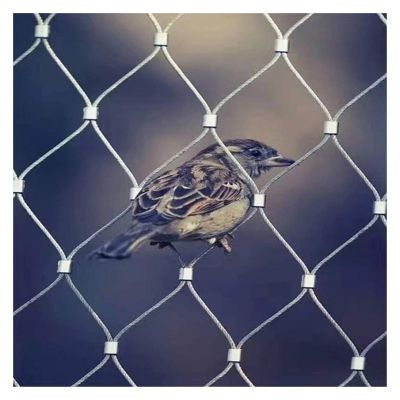 VXHCS Flexible Stainless Steel Cable Netting, Plant Climbing Net, 5 cm/1.5 mm, Trampoline Safety Net/Stair Safety Fence (1.5 x 10 m)