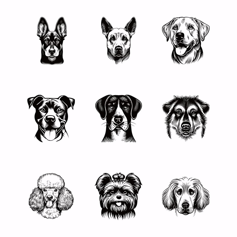 SUPERDANT 9-Piece Dog Head Transfer Paper