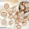 SOFPLATE 200 Artificial Rose Petals for Wedding and Party Decorations view 3