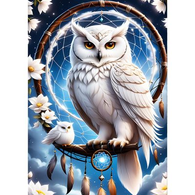 QINRUBB DIY White Owl Diamond Painting Kit