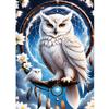 QINRUBB DIY White Owl Diamond Painting Kit view 1