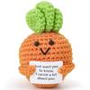 BellaGesundheit Funny Positive Carrot Doll view 1