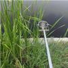 Stainless Steel Telescoping Water Sampler with Swinging Cup, 1,000 mL view 1