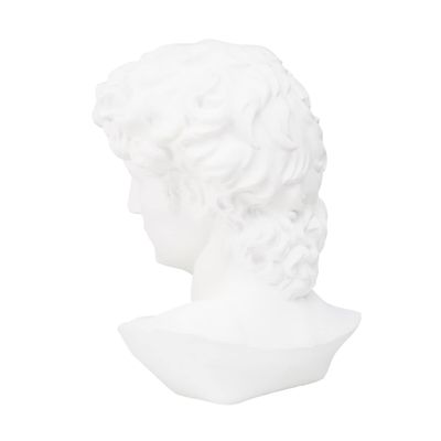 White Resin David Head Statue for Drawing Study