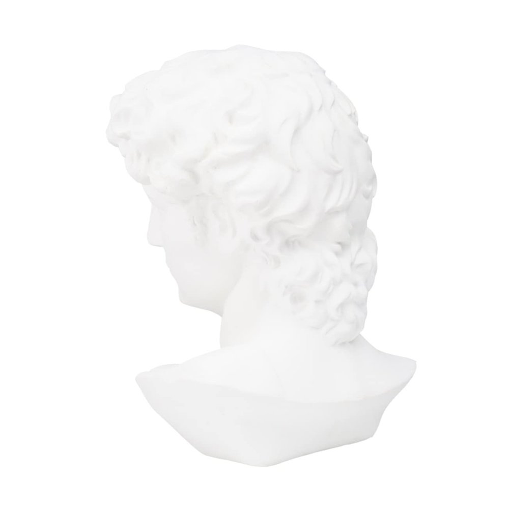 White Resin David Head Statue for Drawing Study