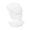 White Resin David Head Statue for Drawing Study view 1